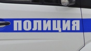 В Инзенском районе полицейские задержали подозреваемую за совершение противоправного деяния