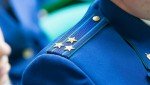 По требованию Инзенской межрайонной прокуратуры организован отлов безнадзорных животных